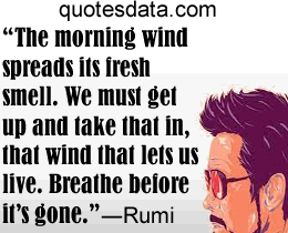 Rumi quotes